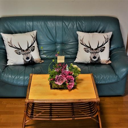 Deerhorn Pansiyon Hokuto  Dış mekan fotoğraf